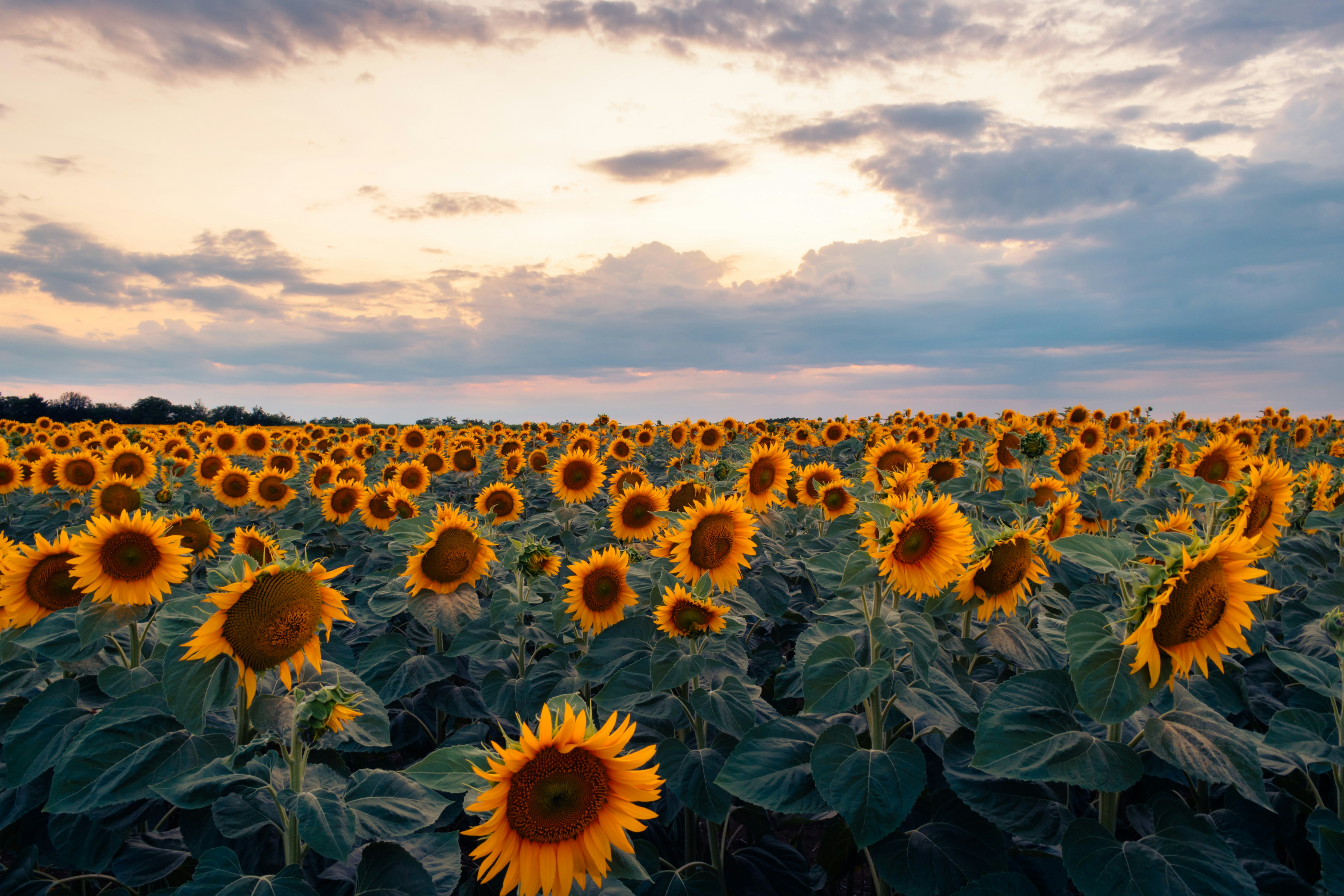 Photo by niki_emmert