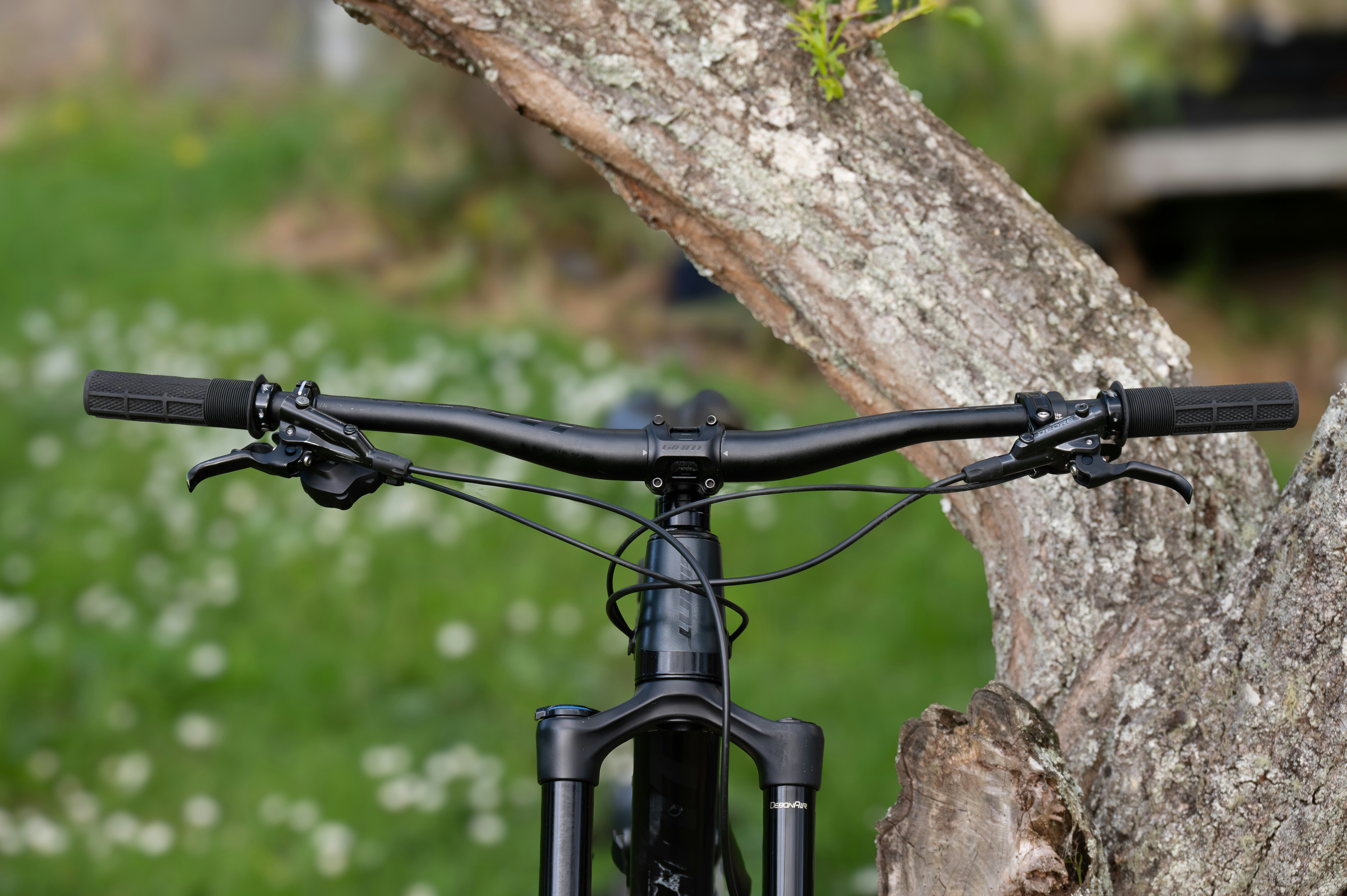 Un primer plano de una bicicleta estacionada junto a un árbol