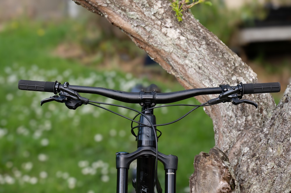 um close up de uma bicicleta estacionada ao lado de uma árvore