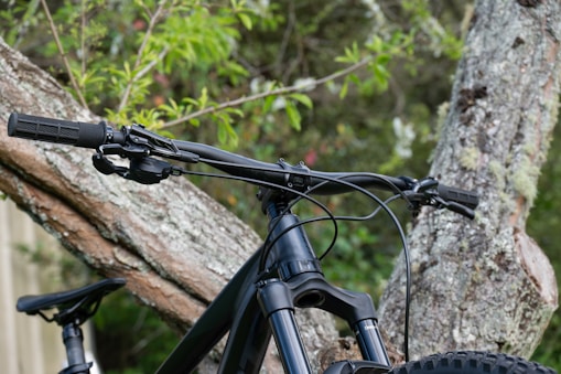 a close up of a bike with a tree in the background