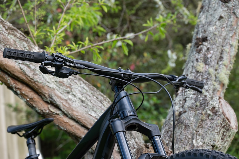 un gros plan d’un vélo avec un arbre en arrière-plan