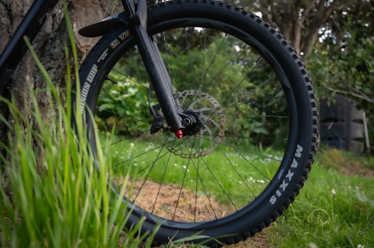 A close-up view of a black mountain bike wheel, featuring thick, knobby treads and a disc brake system. The wheel is leaning against the trunk of a tree, surrounded by lush green grass and foliage. The background displays a natural outdoor setting with blurred trees and plants.