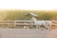 A white horse with a reddish bridle is running along a sandy arena, surrounded by a wooden fence and green vegetation in the background. The image has a warm, golden hue, suggesting it was taken during sunrise or sunset.