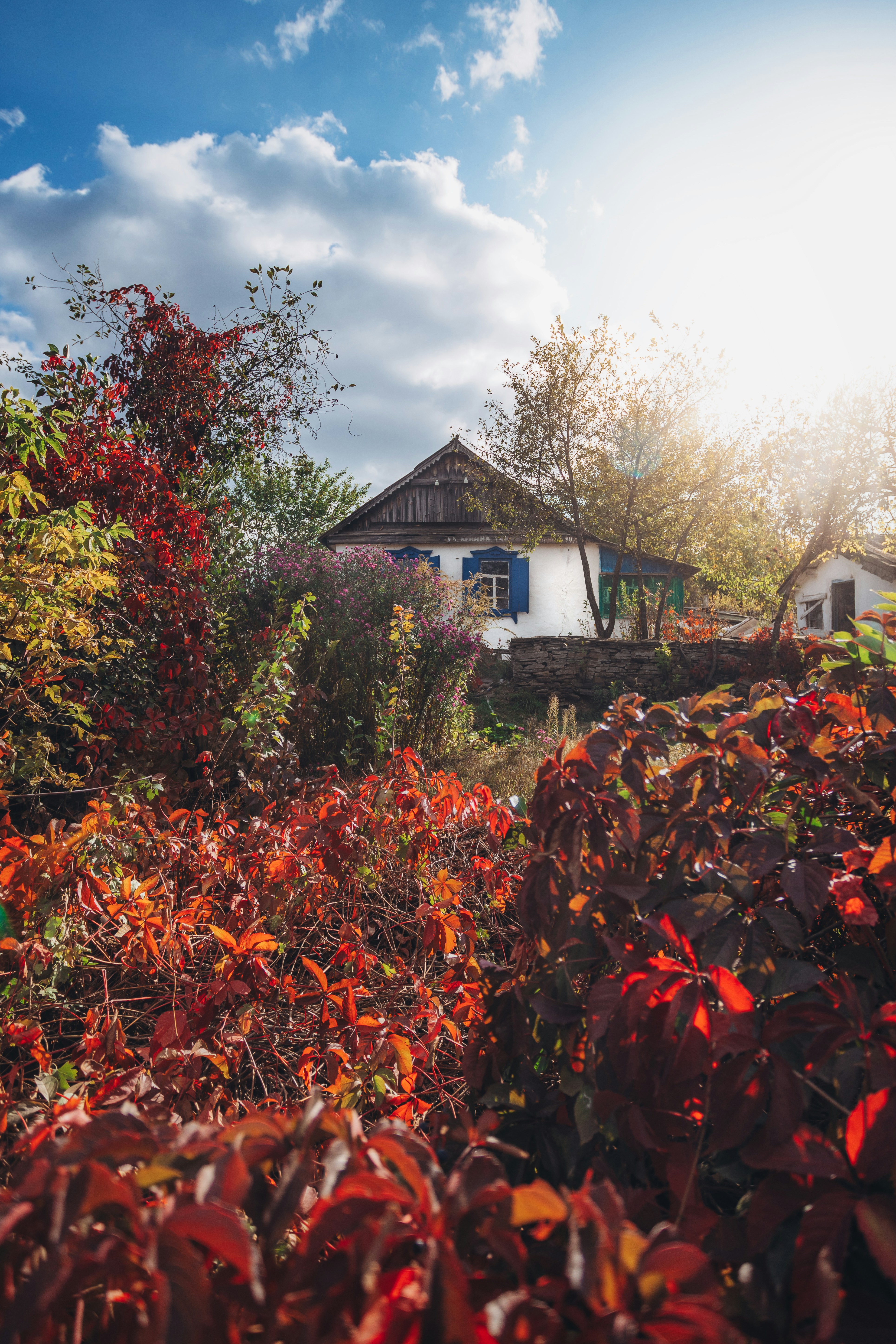 Photo by panfilov_jpg