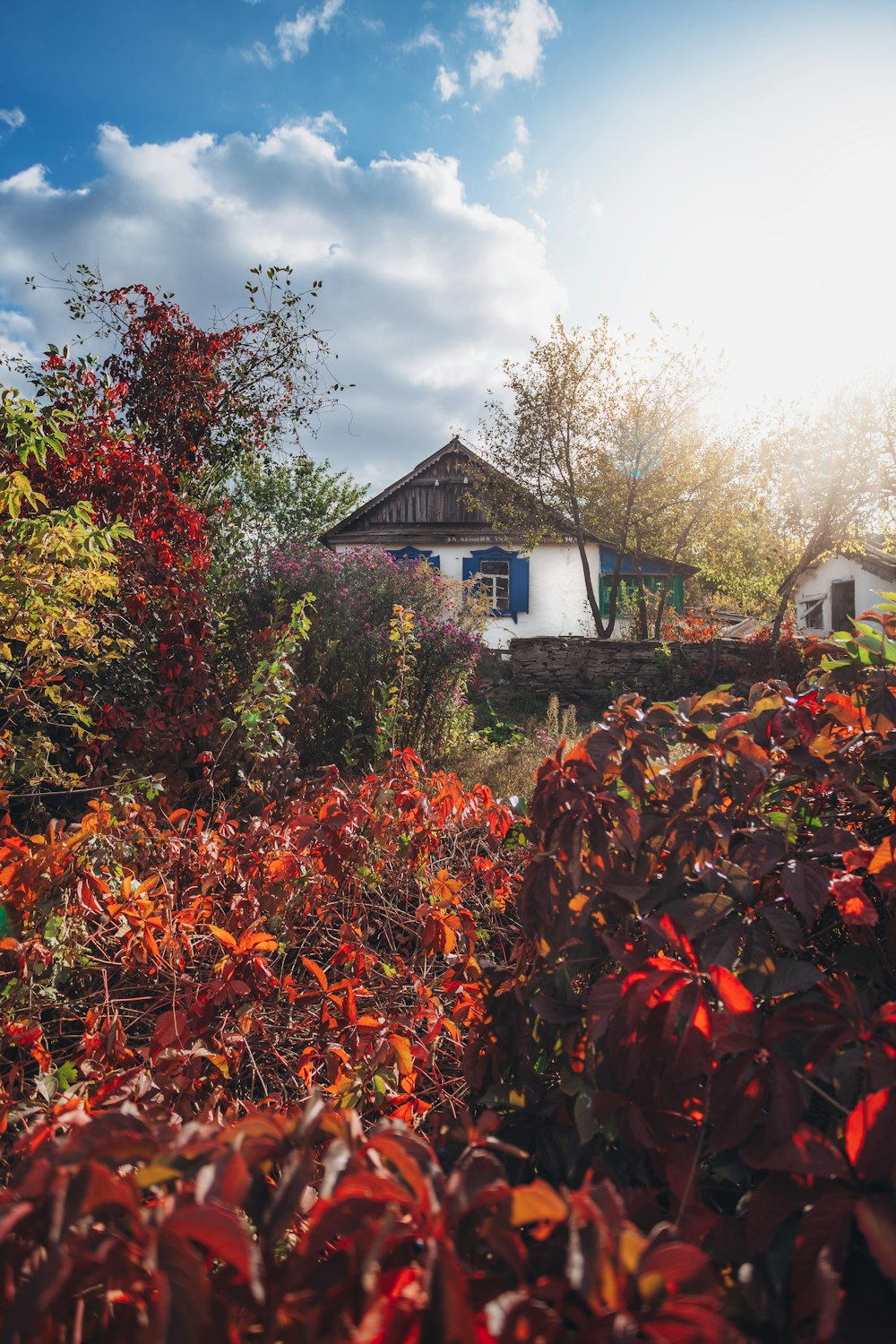 a house surrounded by trees and bushes with a blue sky in the background