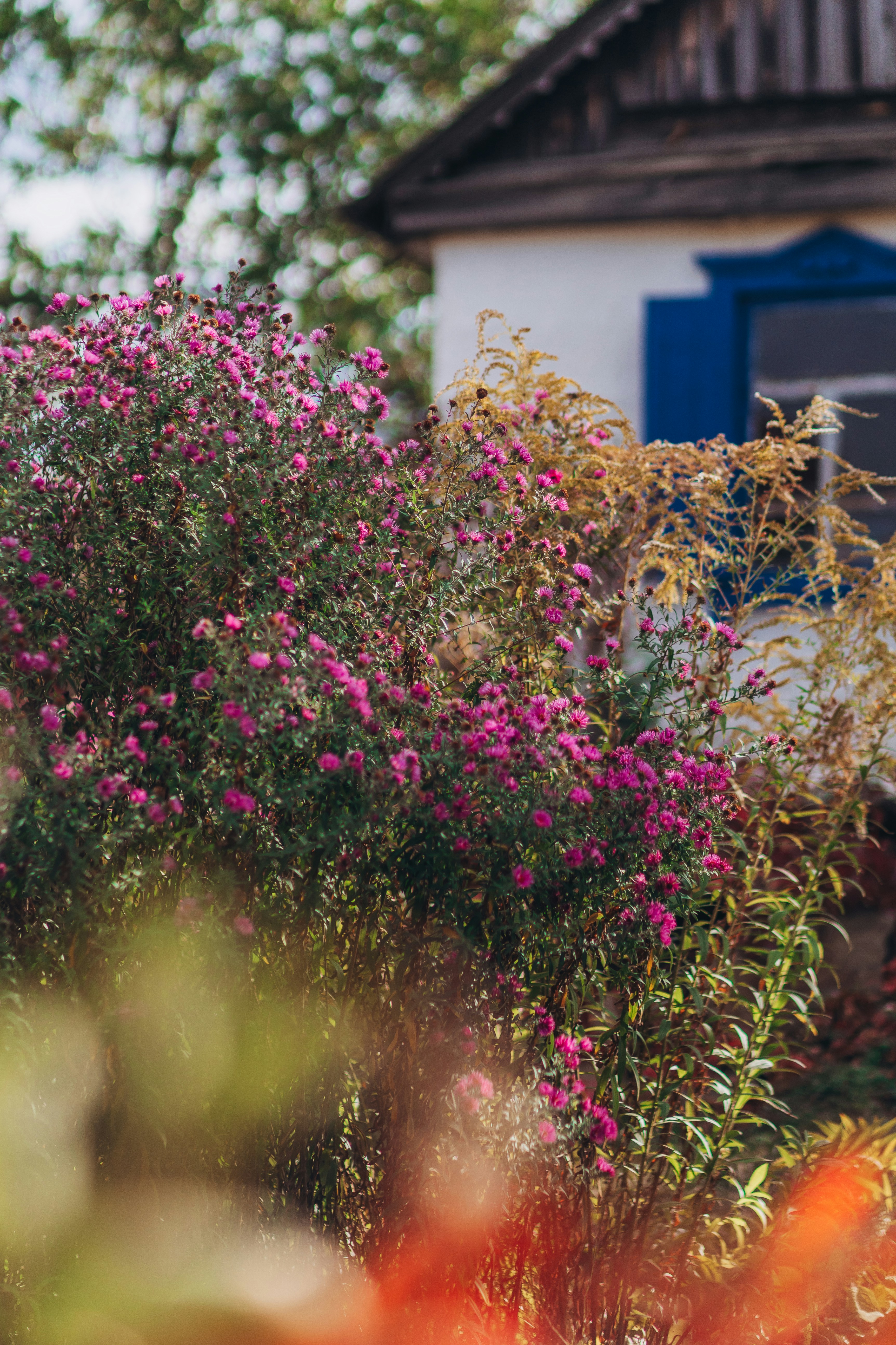 Photo by panfilov_jpg