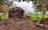 A rustic hut made of earth and straw is situated in a rural setting. The foreground is filled with dry brown soil and some scattered branches. Lush green fields stretch out towards the horizon, bordered by rows of trees. The scene is framed by trees with dense foliage on both sides.