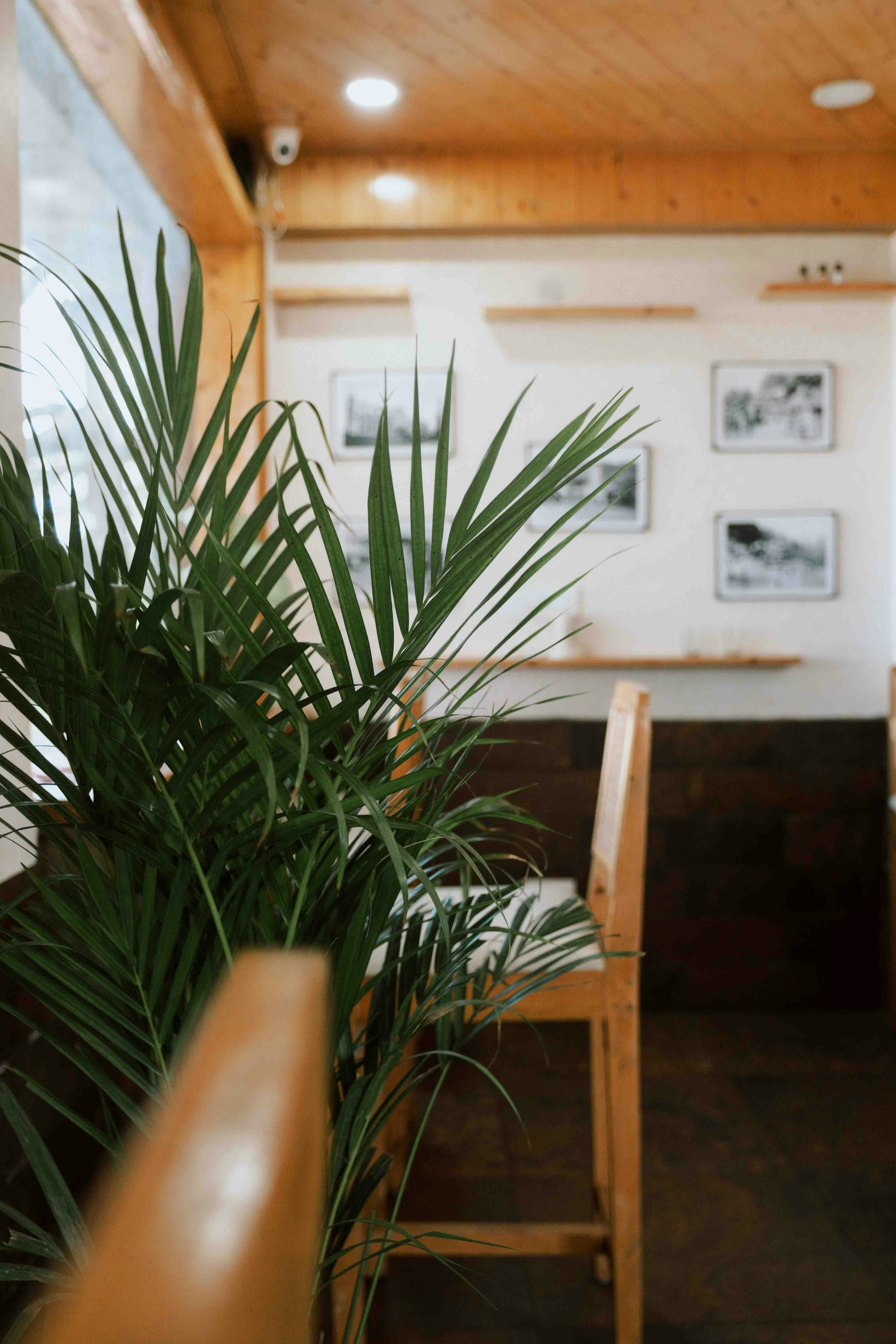 Photo by dropfastcollective