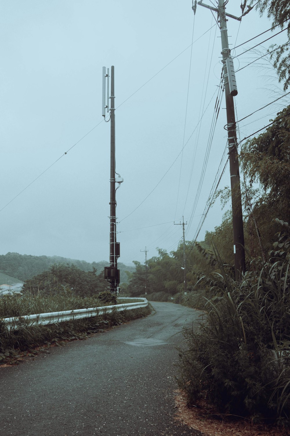 an empty road with power lines and telephone poles