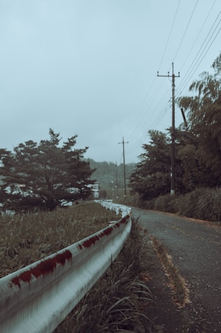 A rural road bordered by tall grass and a rusted guardrail leads into the distance. Utility poles line the road, with overcast skies and dense trees in the background.