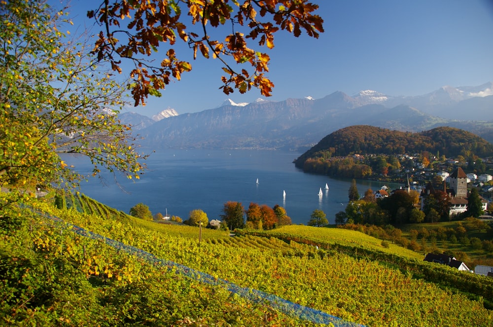 a scenic view of a lake surrounded by mountains