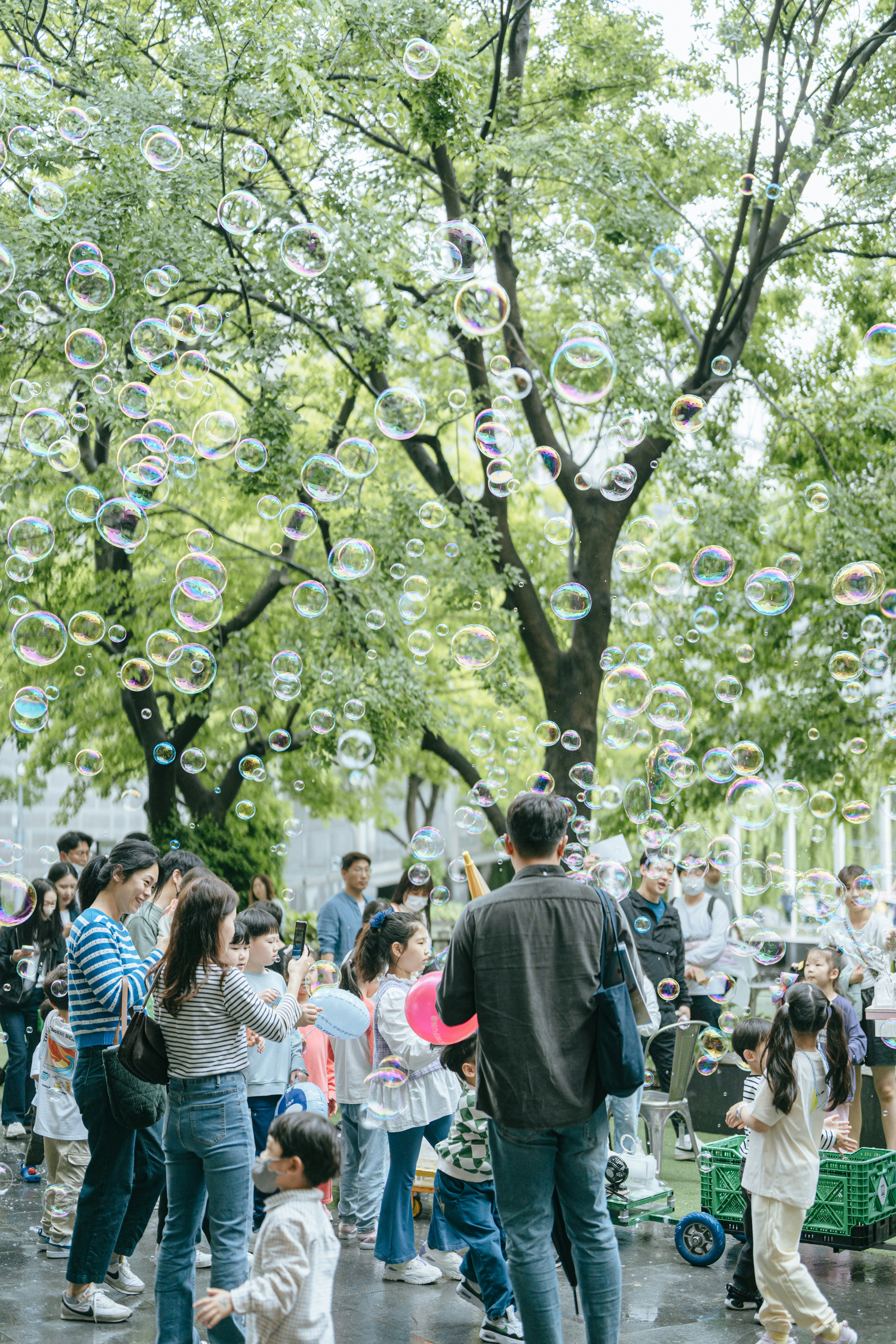 Photo by asiaculturecenter