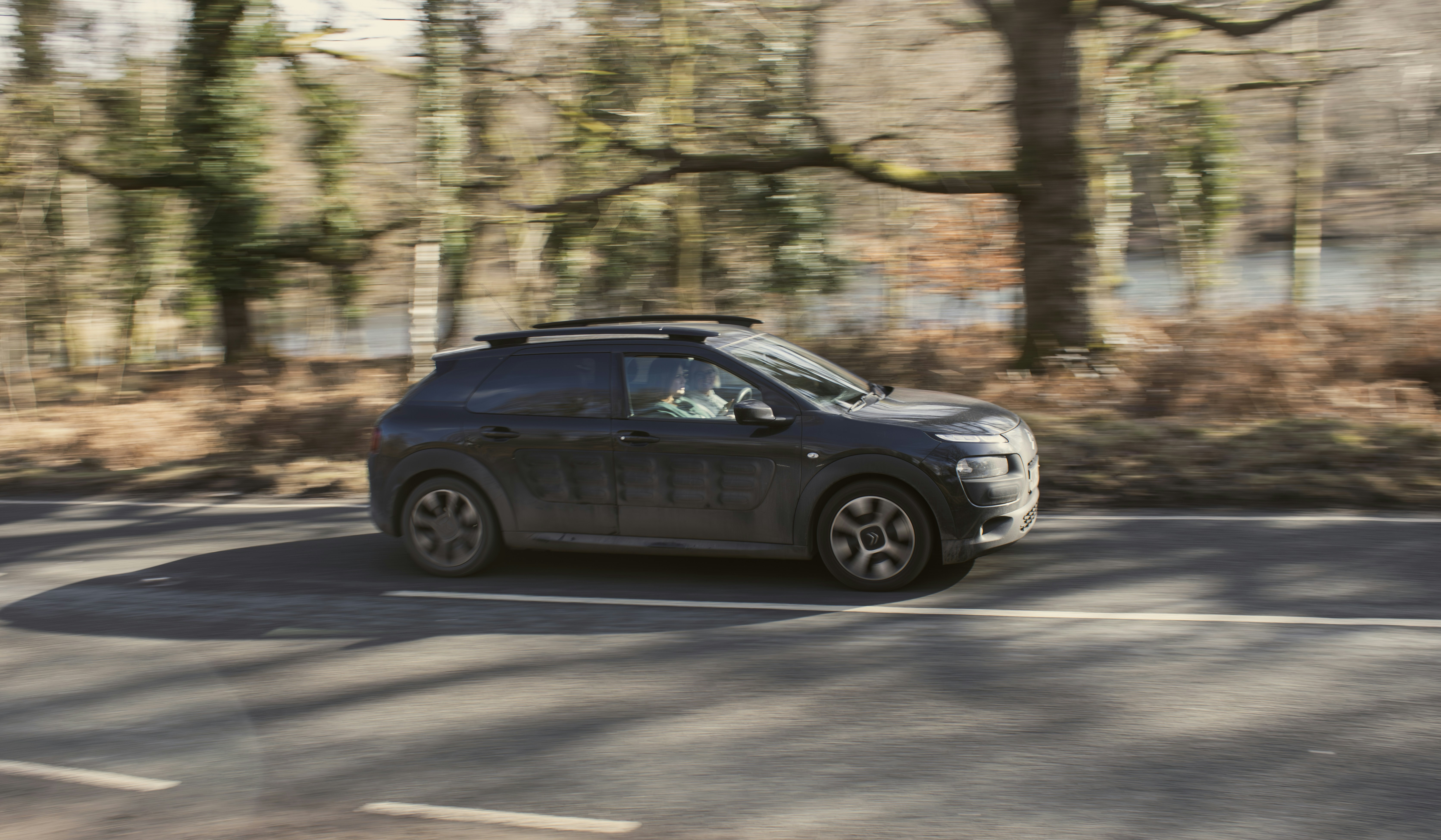 Photo by leephotography