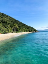 a beach with clear blue water next to a lush green hillside