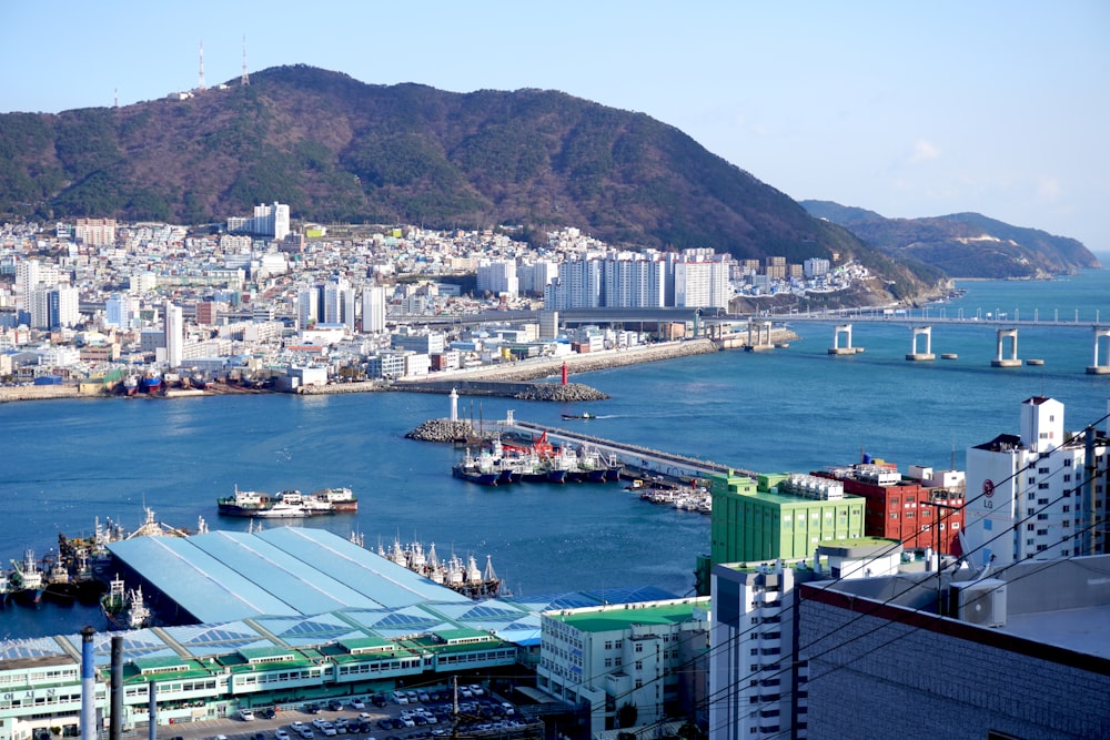 a large body of water with a city in the background