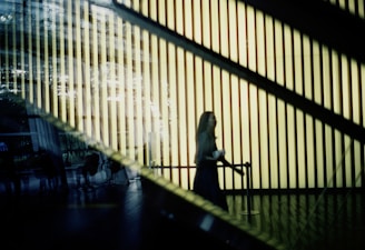 A silhouette of a person walking in front of vertically striped, illuminated background. The scene is observed through reflective and transparent surfaces, creating overlapping layers and a sense of abstraction.