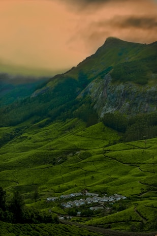 A tranquil valley with lush green tea plantations stretching across rolling hills. In the foreground, a small settlement of houses is nestled among the verdant landscape. The backdrop features a prominent, mist-covered mountain under a dramatic sky with hues of orange and brown, suggesting either dawn or dusk.