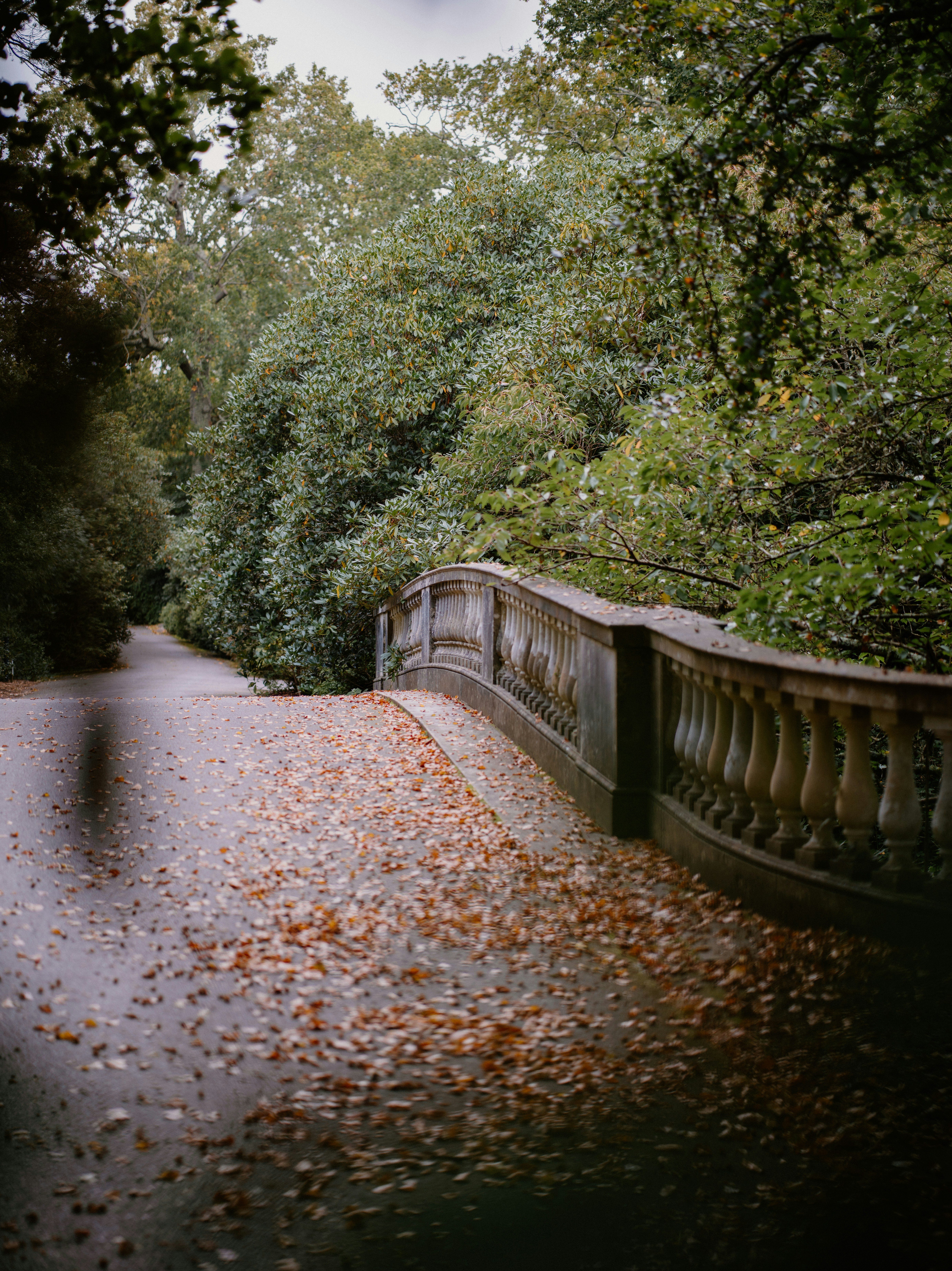 Photo by anniespratt