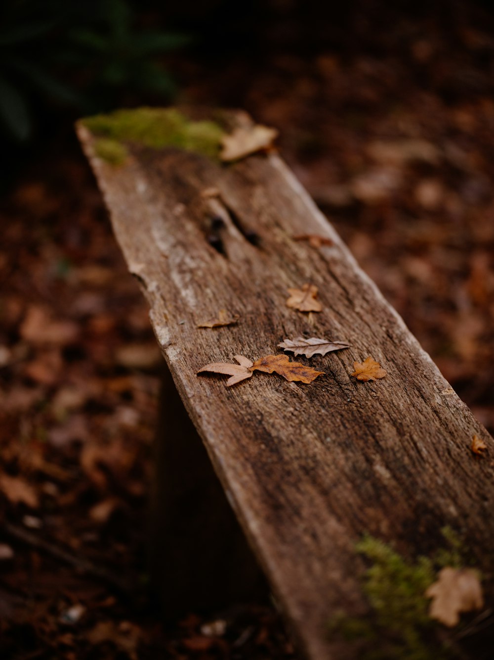 a wooden bench sitting in the middle of a forest