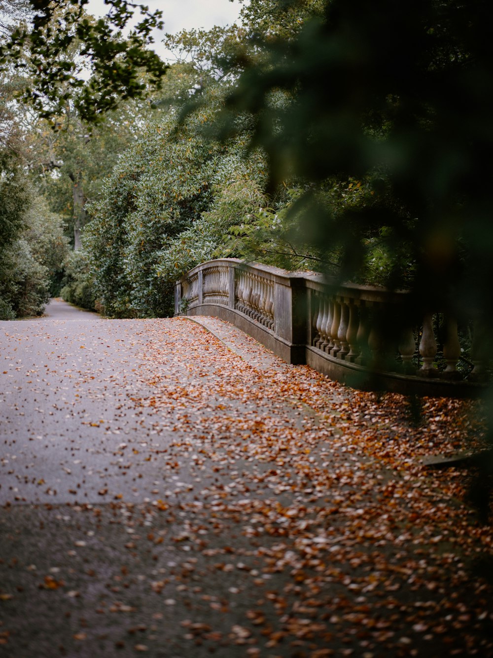 a bridge that has fallen leaves on the ground