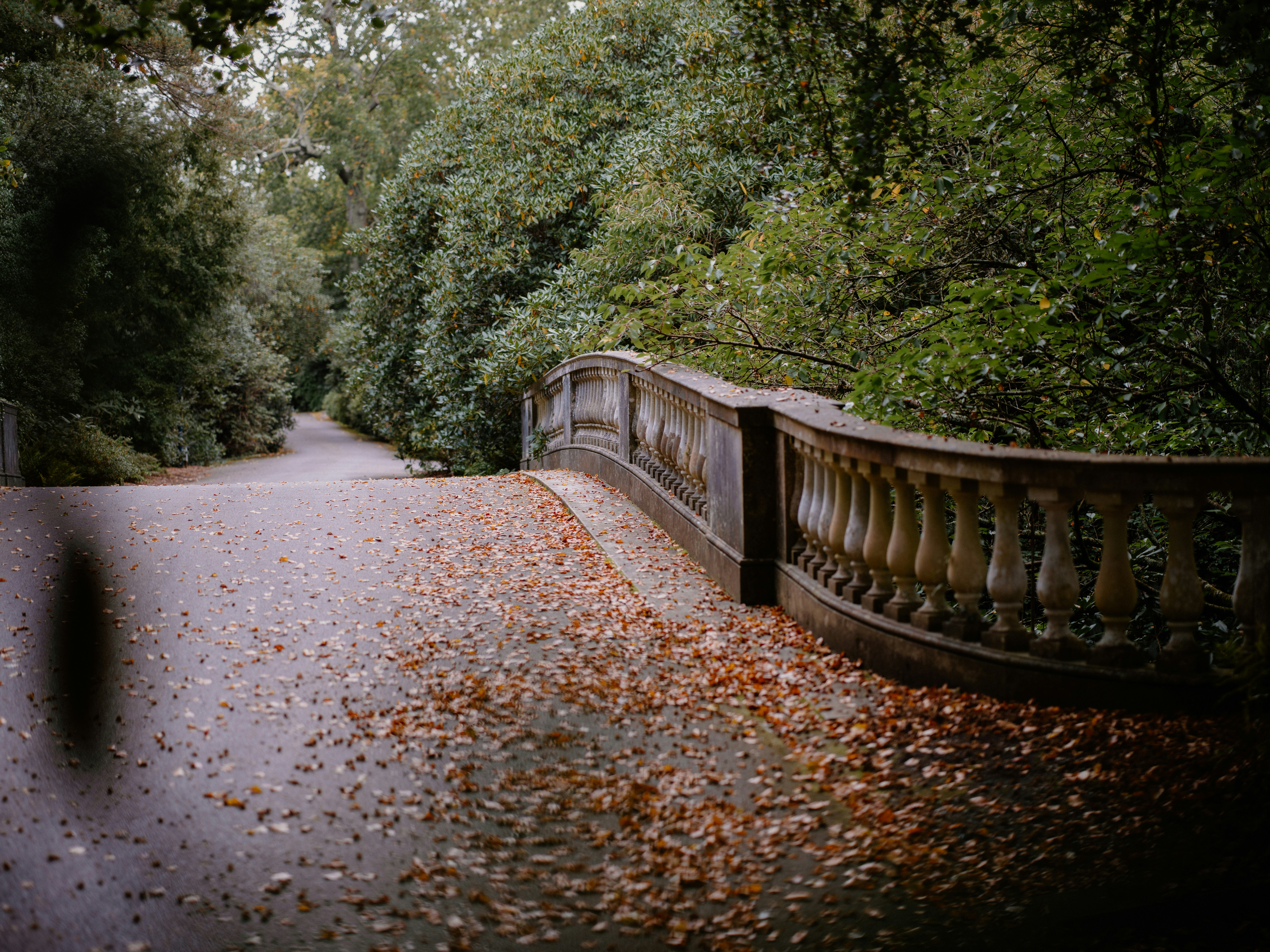 Photo by anniespratt