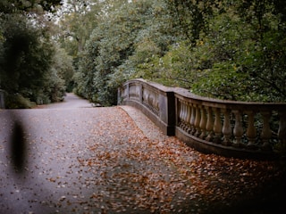 A quiet pathway winding through the Wild & Woods Corbett project area.