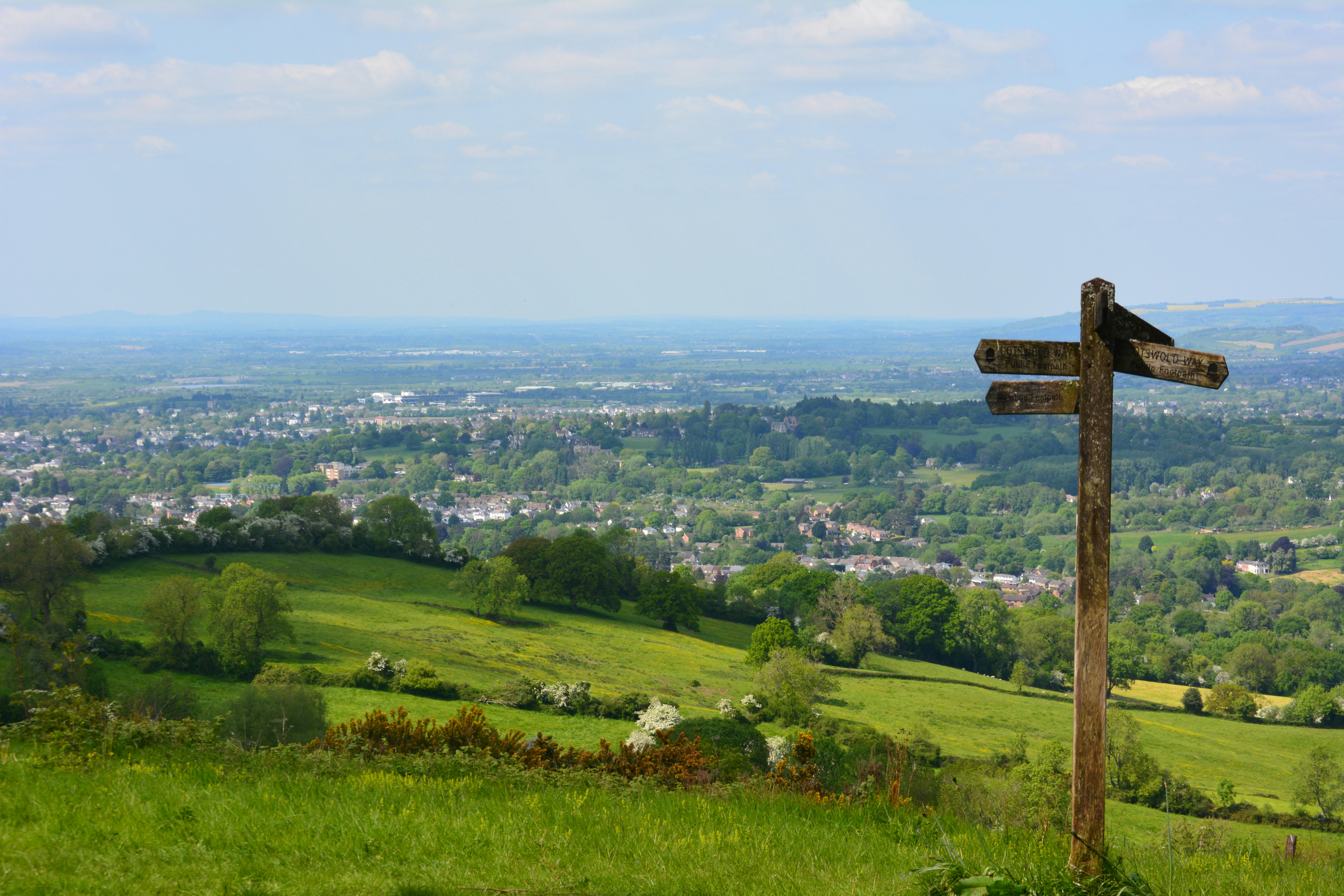 Photo by theosaurus96