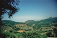 a view of a valley with trees and mountains in the background
