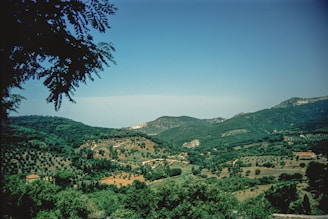 a view of a valley with trees and mountains in the background