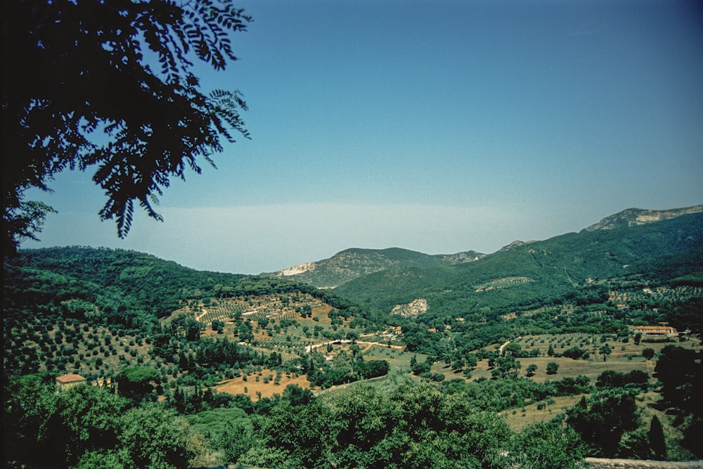 a view of a valley with trees and mountains in the background