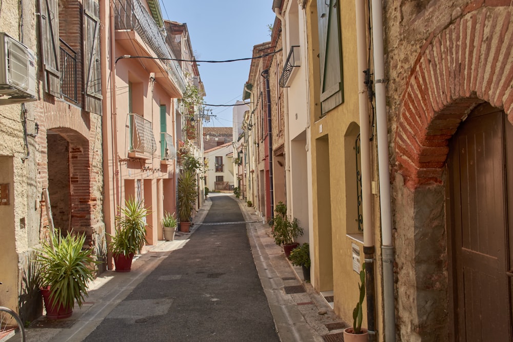 a narrow street lined with buildings and potted plants