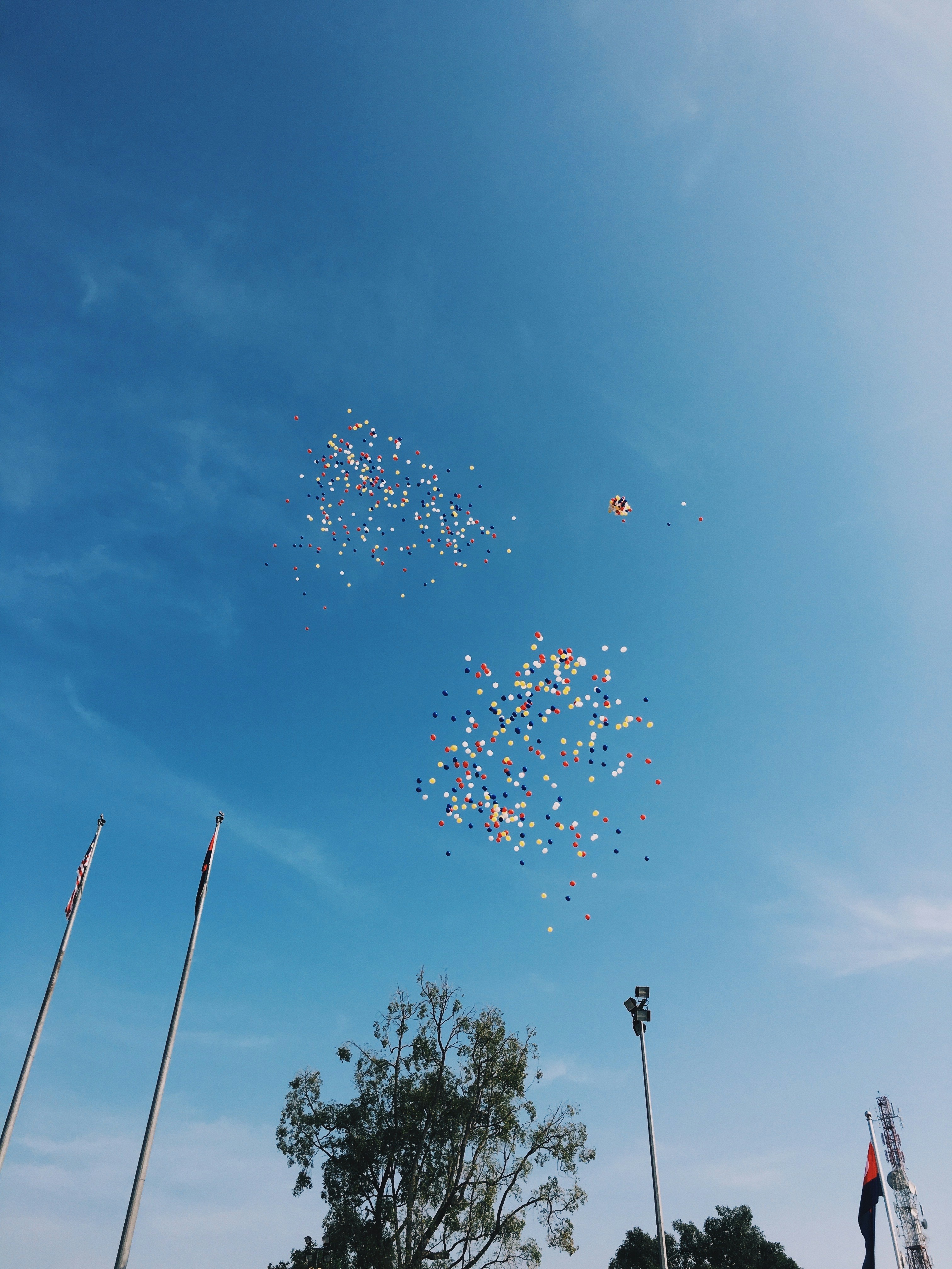 Colorful Party Balloons