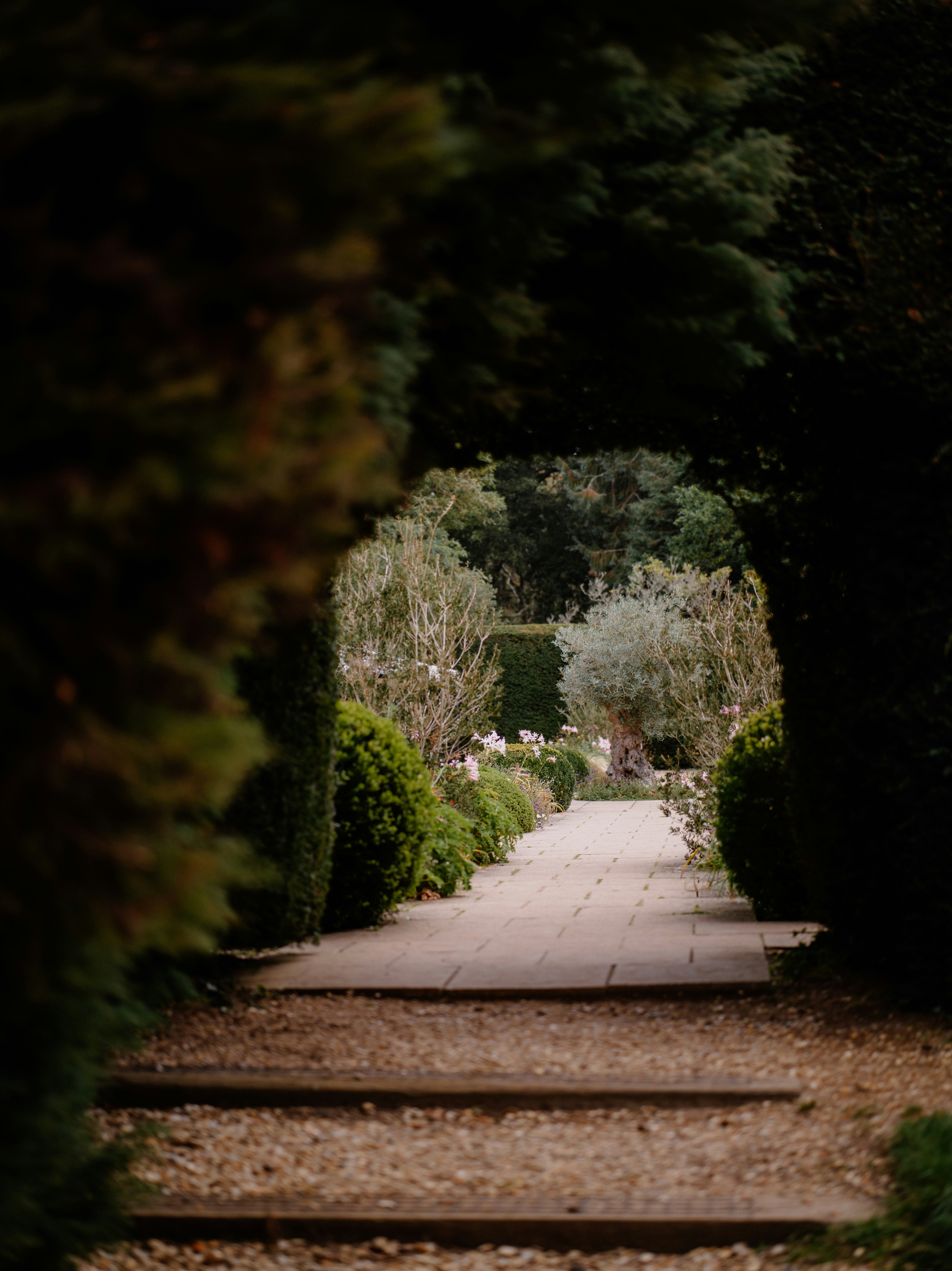 Photo by anniespratt