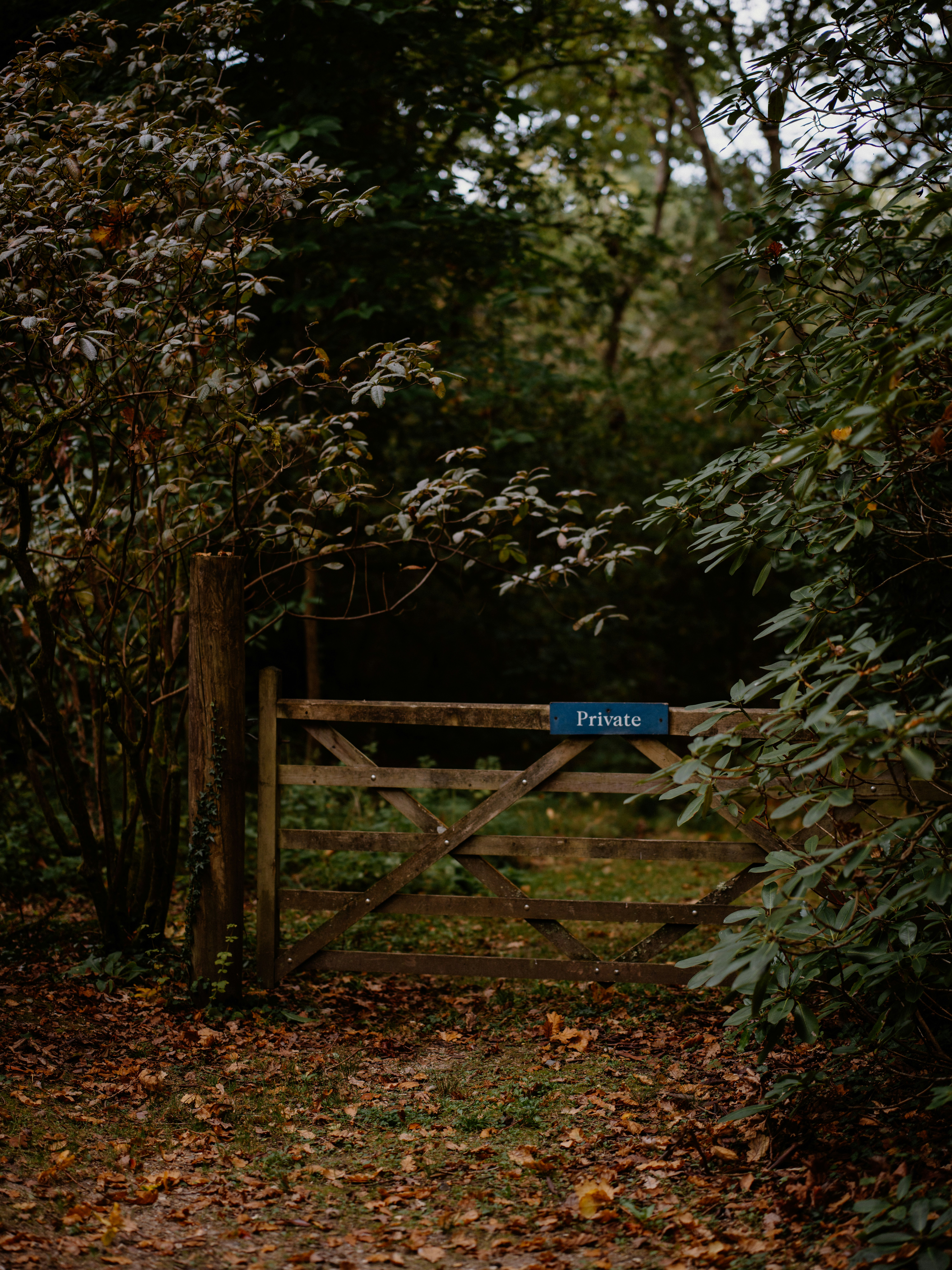 Photo by anniespratt