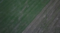 Drone capturing a large agricultural field with visible crop patterns.