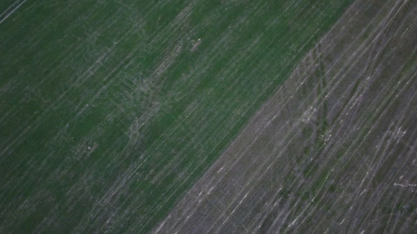 An aerial view of vast agricultural fields showing distinct linear patterns. The landscape is divided into two sections, one primarily green and the other brownish, indicating different crop types or stages of cultivation.