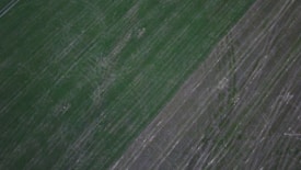 An aerial view of vast agricultural fields showing distinct linear patterns. The landscape is divided into two sections, one primarily green and the other brownish, indicating different crop types or stages of cultivation.