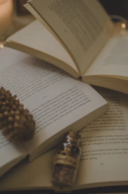 A collection of books, journals, and calming candles arranged invitingly.