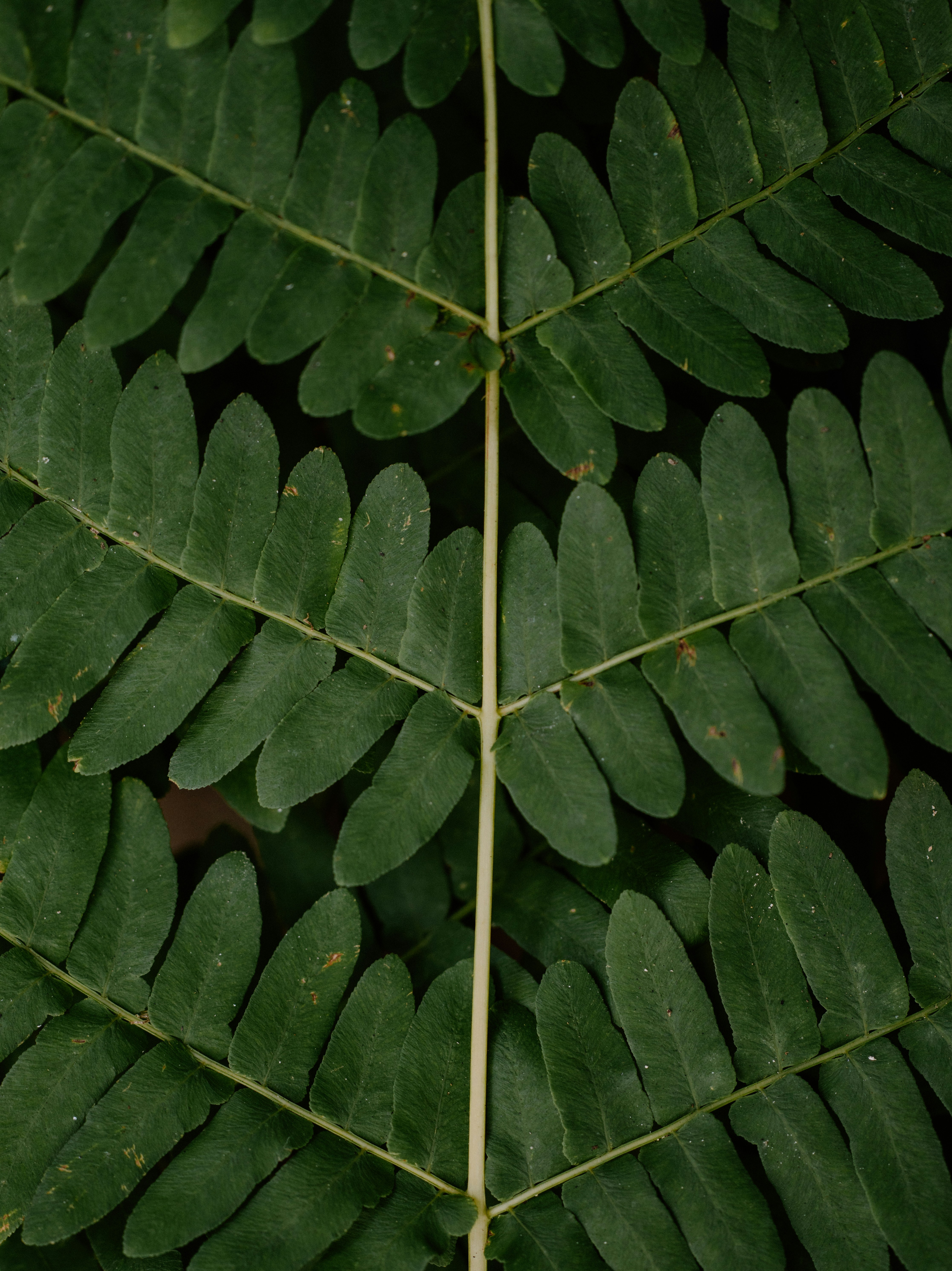 Photo by anniespratt