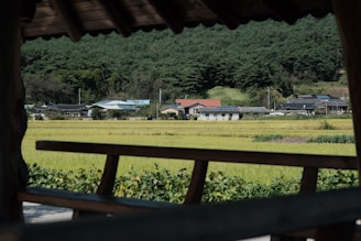 A serene view of a Romanian countryside landscape.