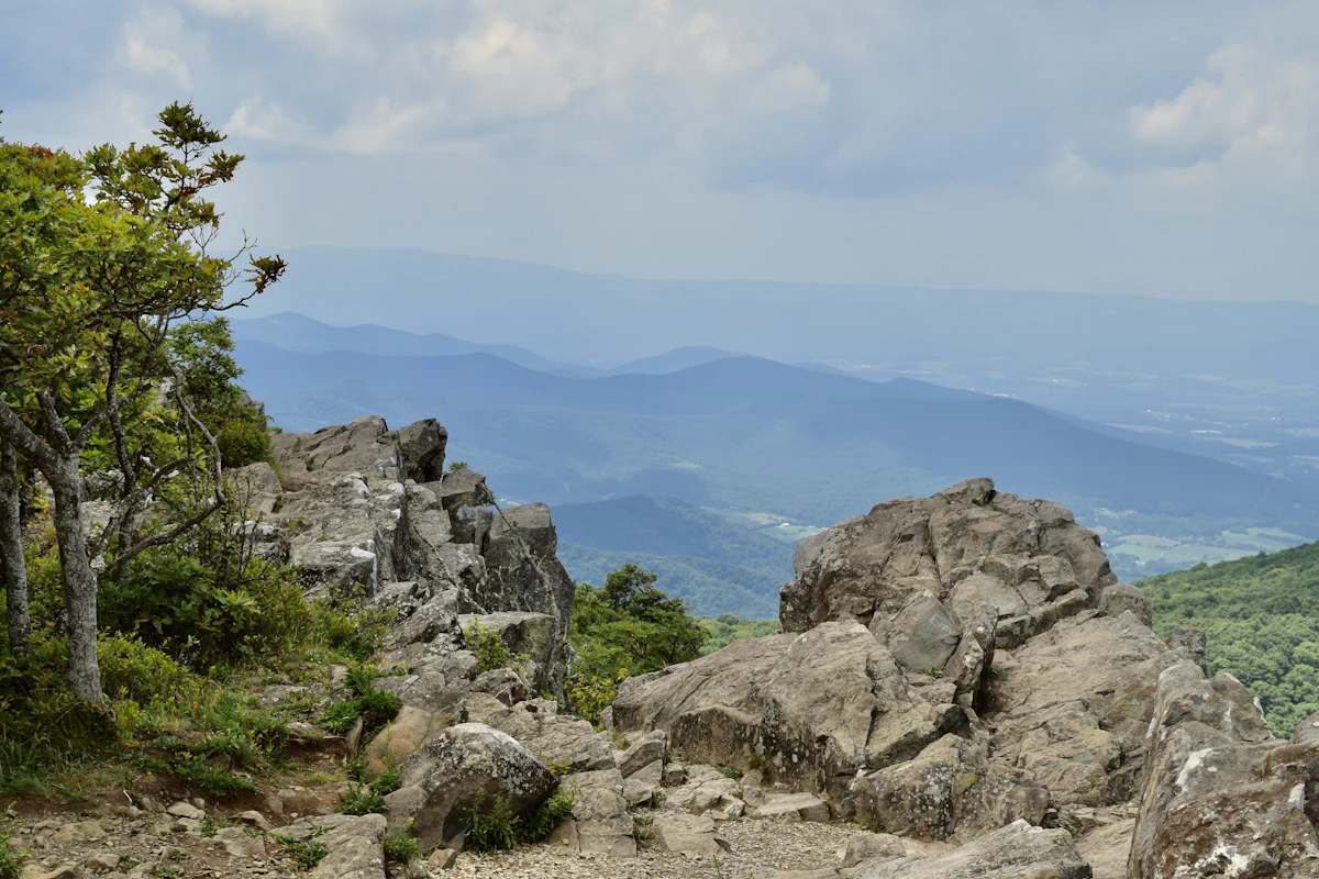 Grey rock outcrops and a small tree above blue ridges in Shenandoah National Park