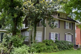 A two-story house covered in green siding with white-framed windows and a prominent brick chimney. The home is surrounded by lush greenery, including tall trees and various shrubs, creating a cozy and secluded atmosphere. The building has a classic, timeless architectural design and is nestled amidst dense foliage.