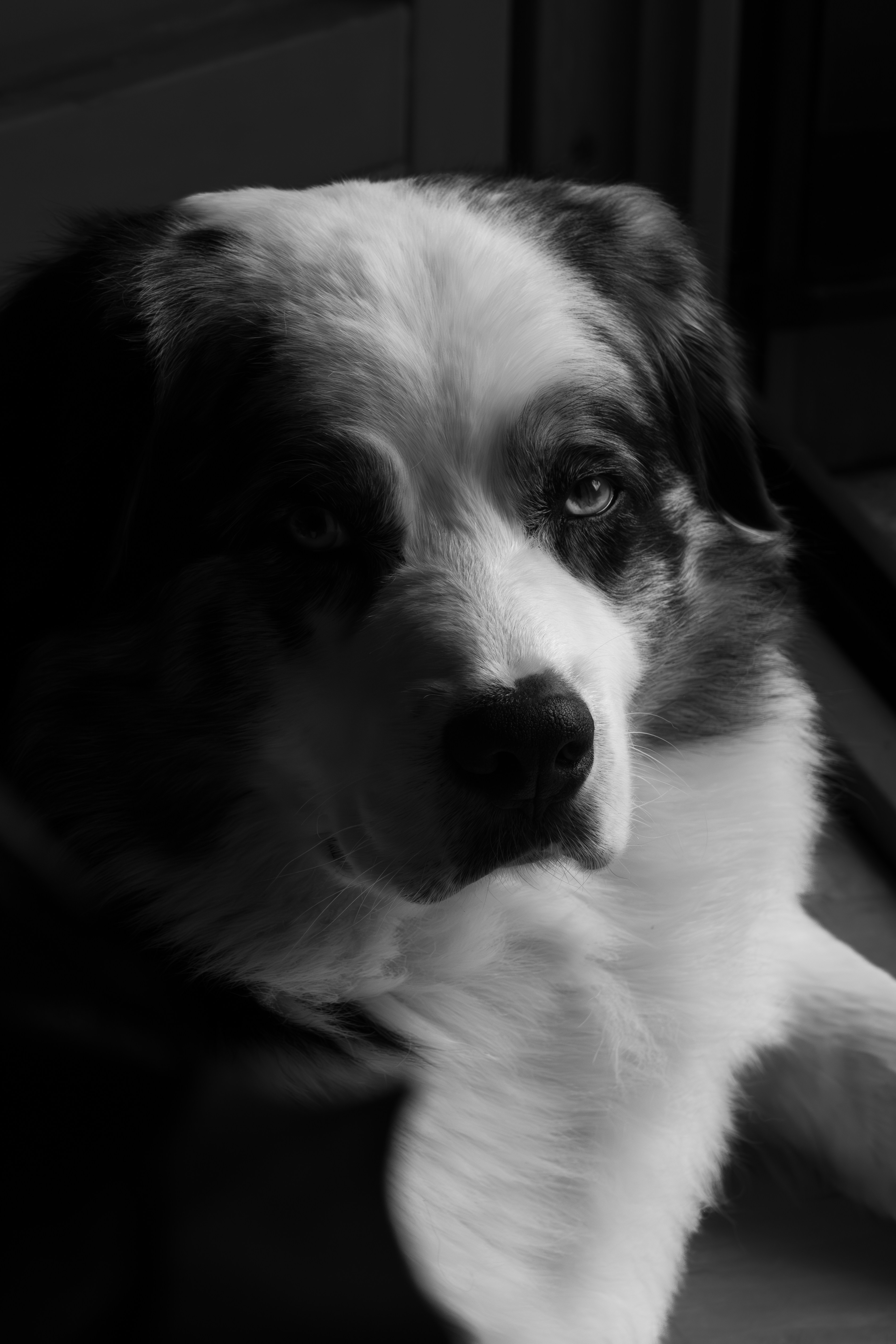 Photo by marie_hastreiter