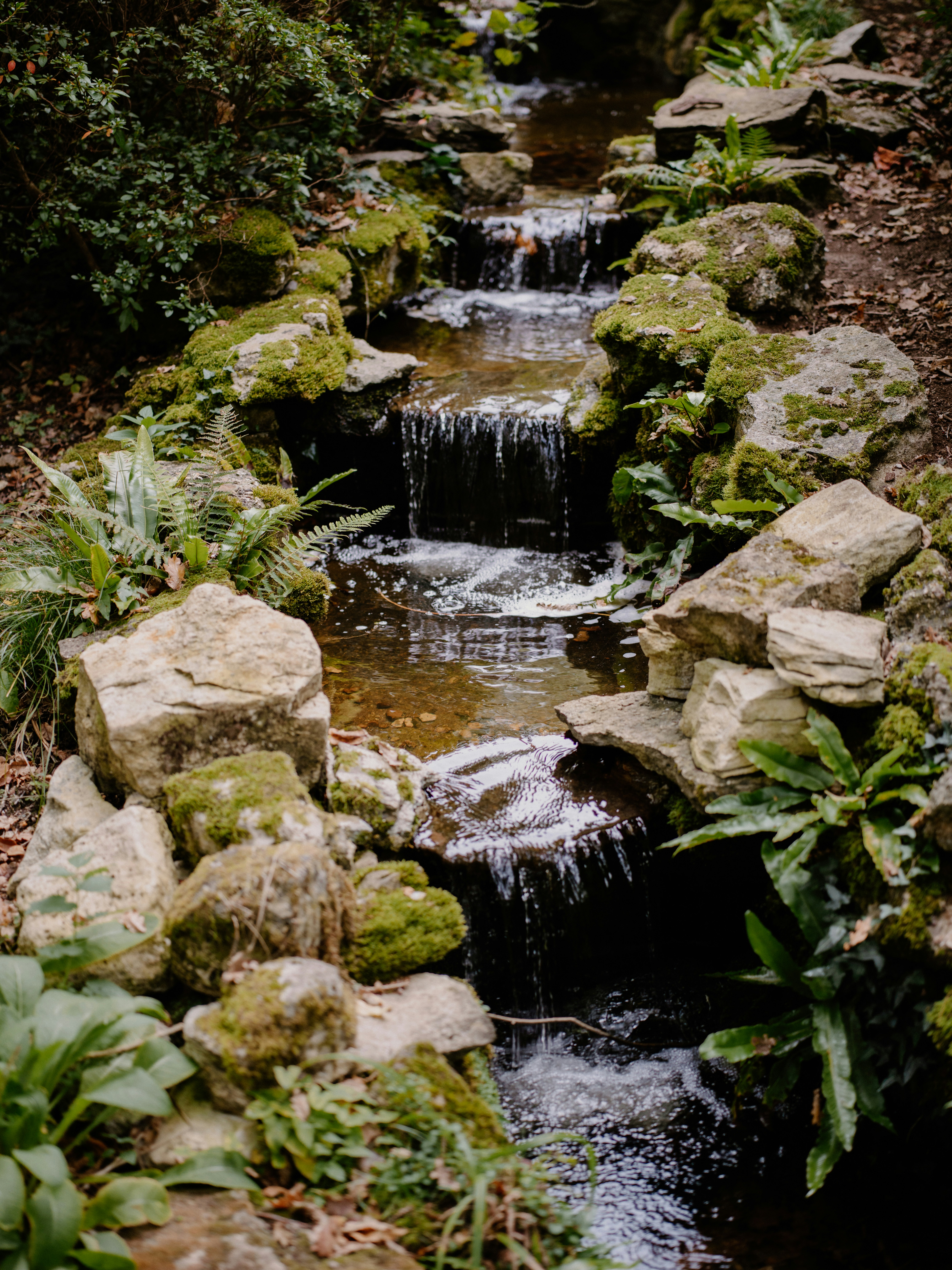 Photo by anniespratt