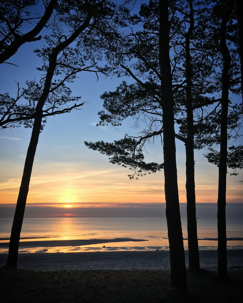 o sol está se pondo atrás de algumas árvores na praia