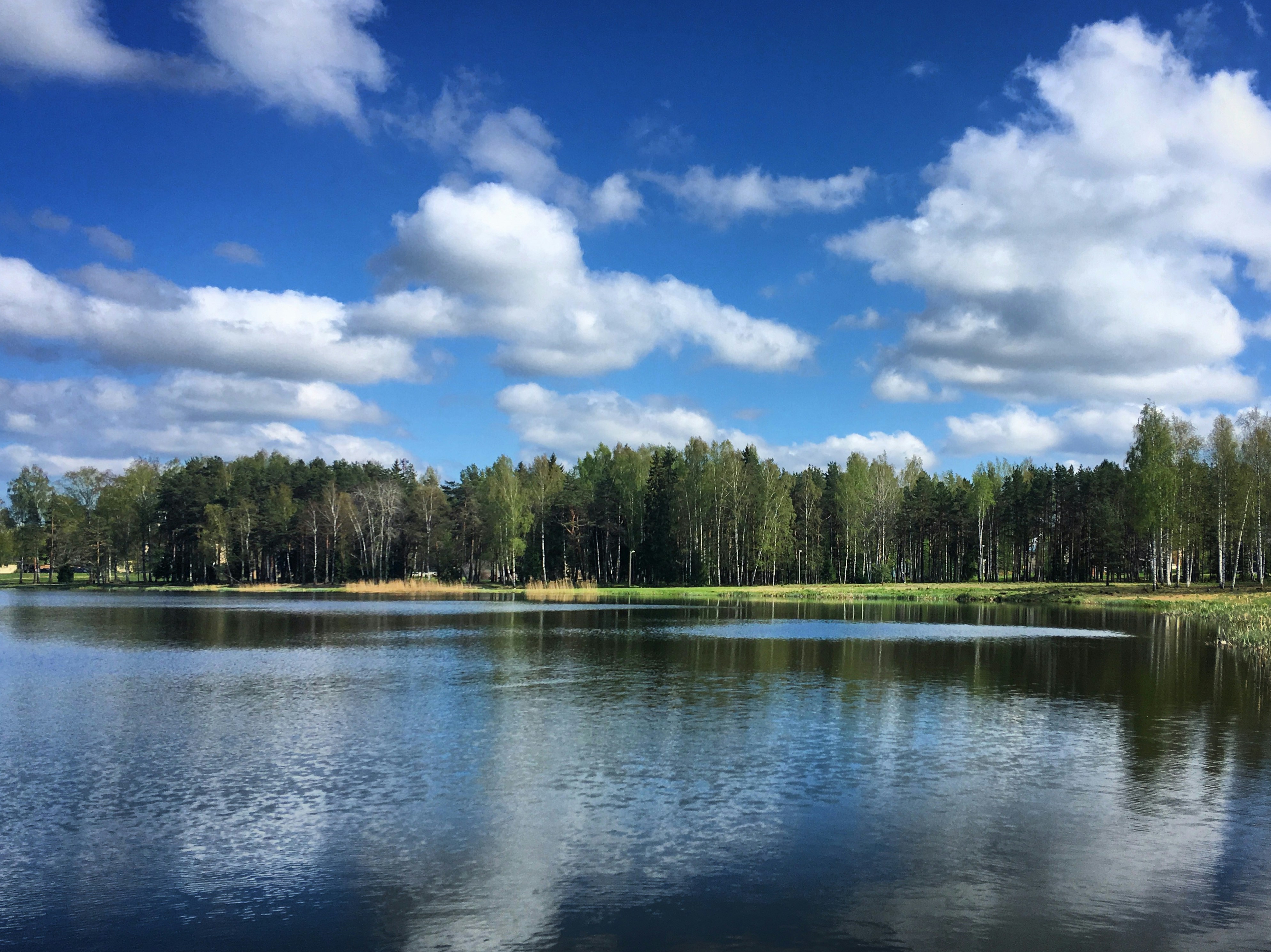 Photo by sergei_gussev