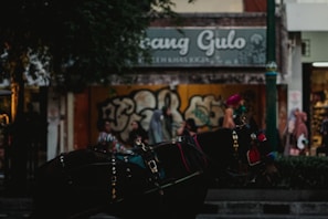 A beautifully decorated carriage ready for a parade, with Sumatambo horses harnessed and waiting