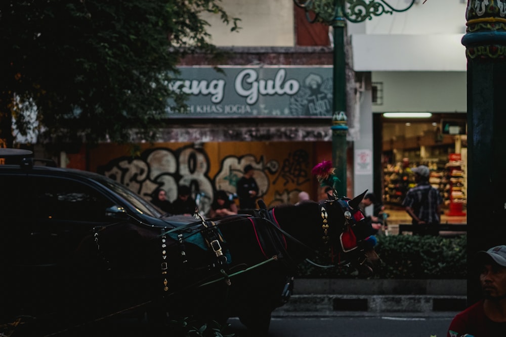 a horse drawn carriage on a city street