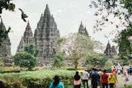 Several ancient stone temple structures with intricate designs surrounded by lush greenery. Groups of people are walking around, appearing to be tourists. Trees and shrubs are present in the foreground, partially obscuring the view of the temples.