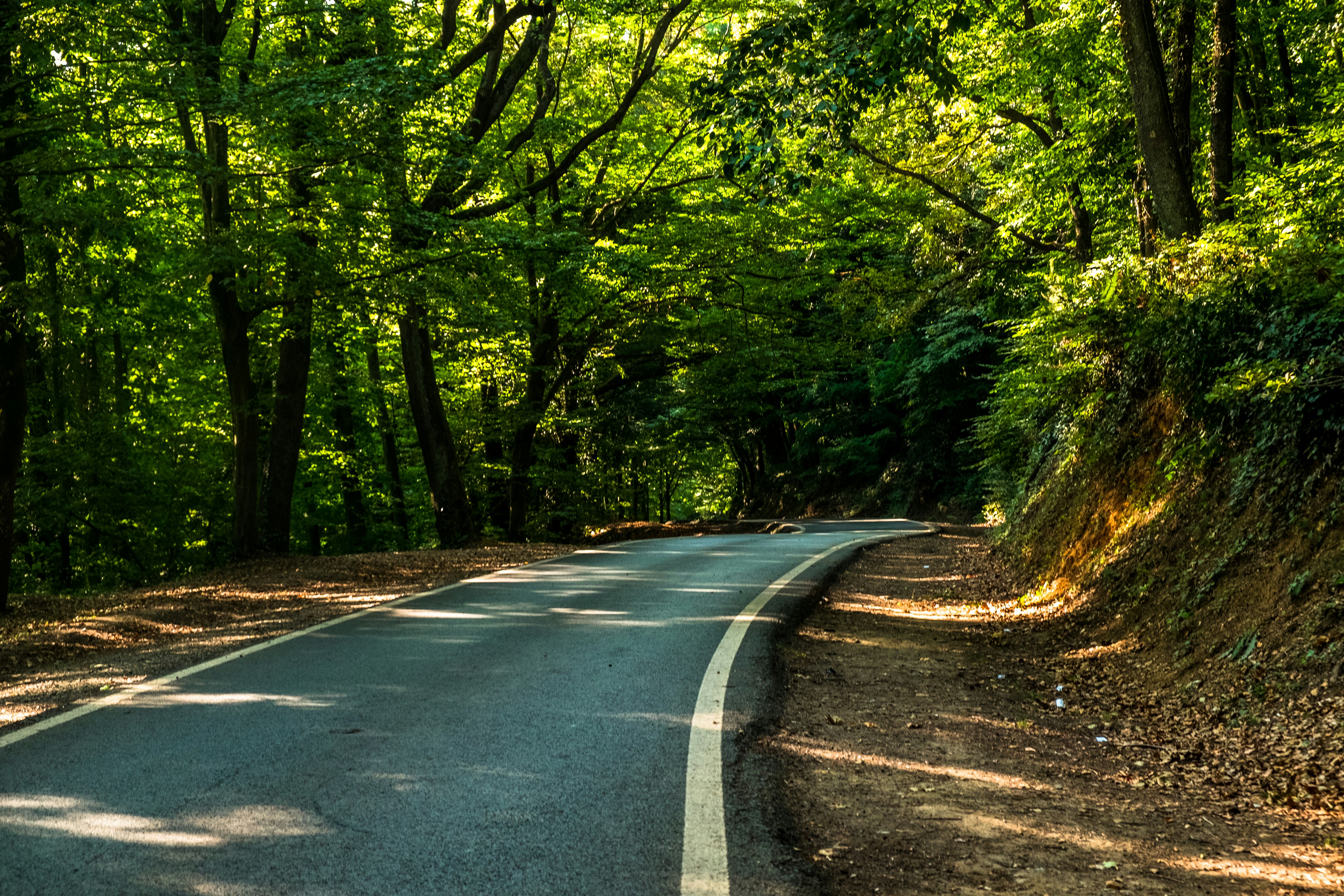 Photo by mo_design_3d